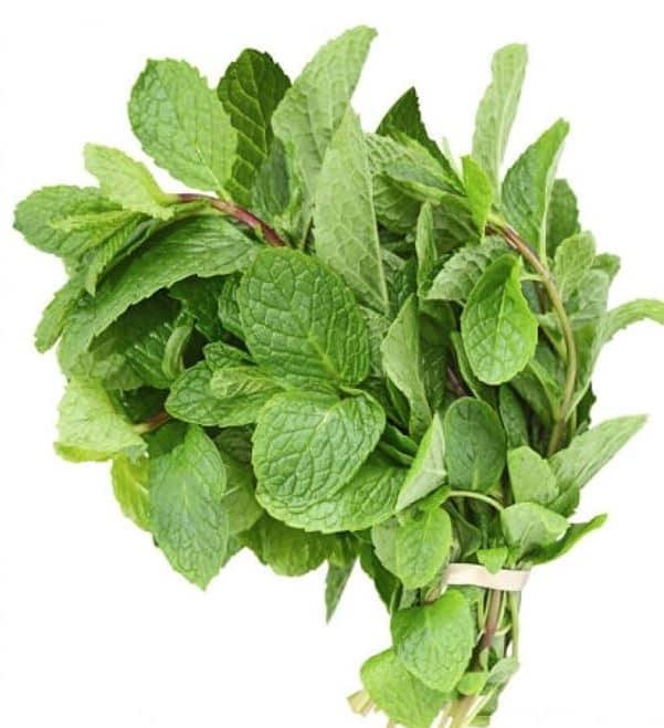 Mint